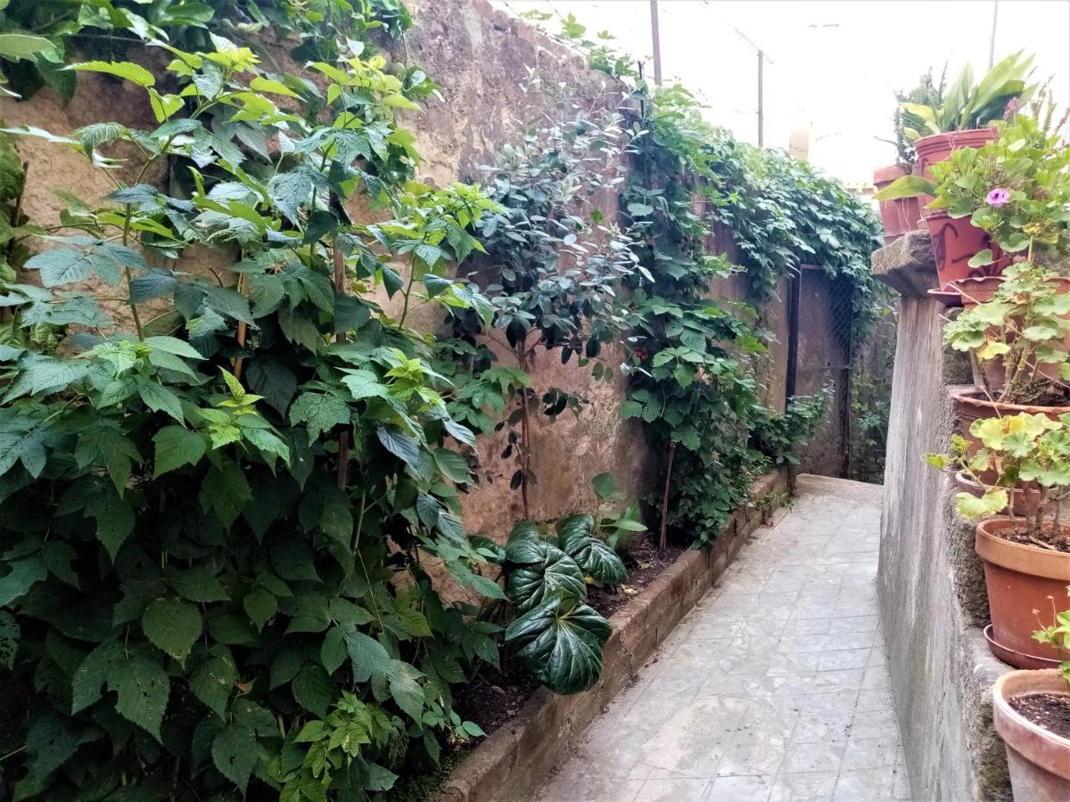 维塞乌 Casa Da Judiaria Velha酒店 外观 照片