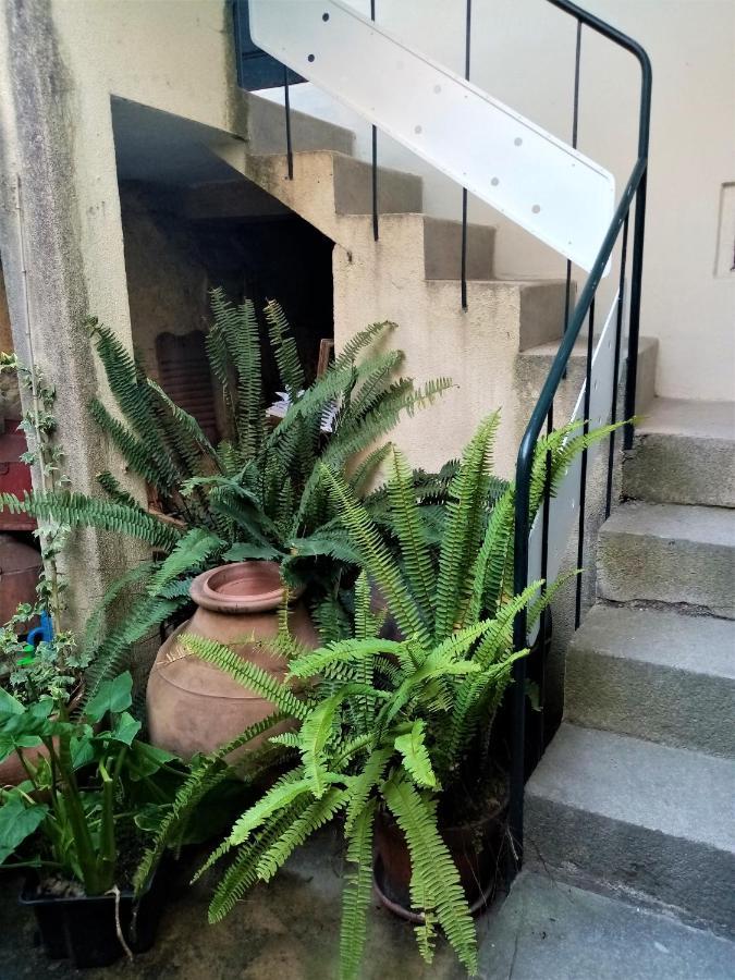 维塞乌 Casa Da Judiaria Velha酒店 外观 照片